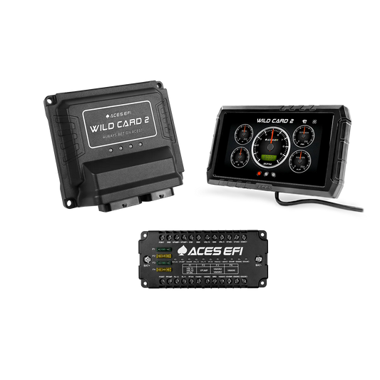Aces Wild Card 2 EFI (Standalone)