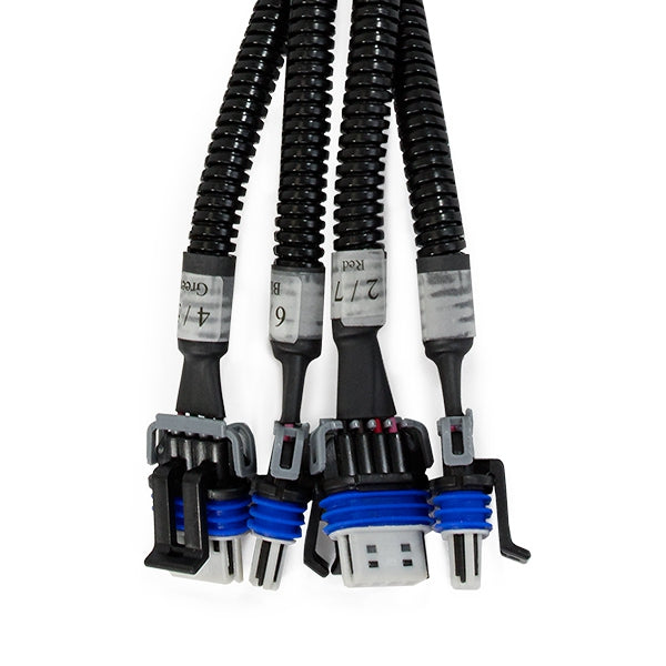LSX Ignition Coil Relocation Harnesses
