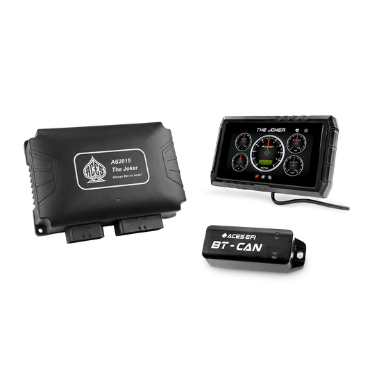 The Joker EFI (Standalone)