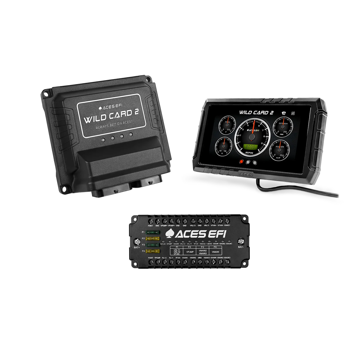 Wild Card 2 ECU/Ignition Package - Ford 351W