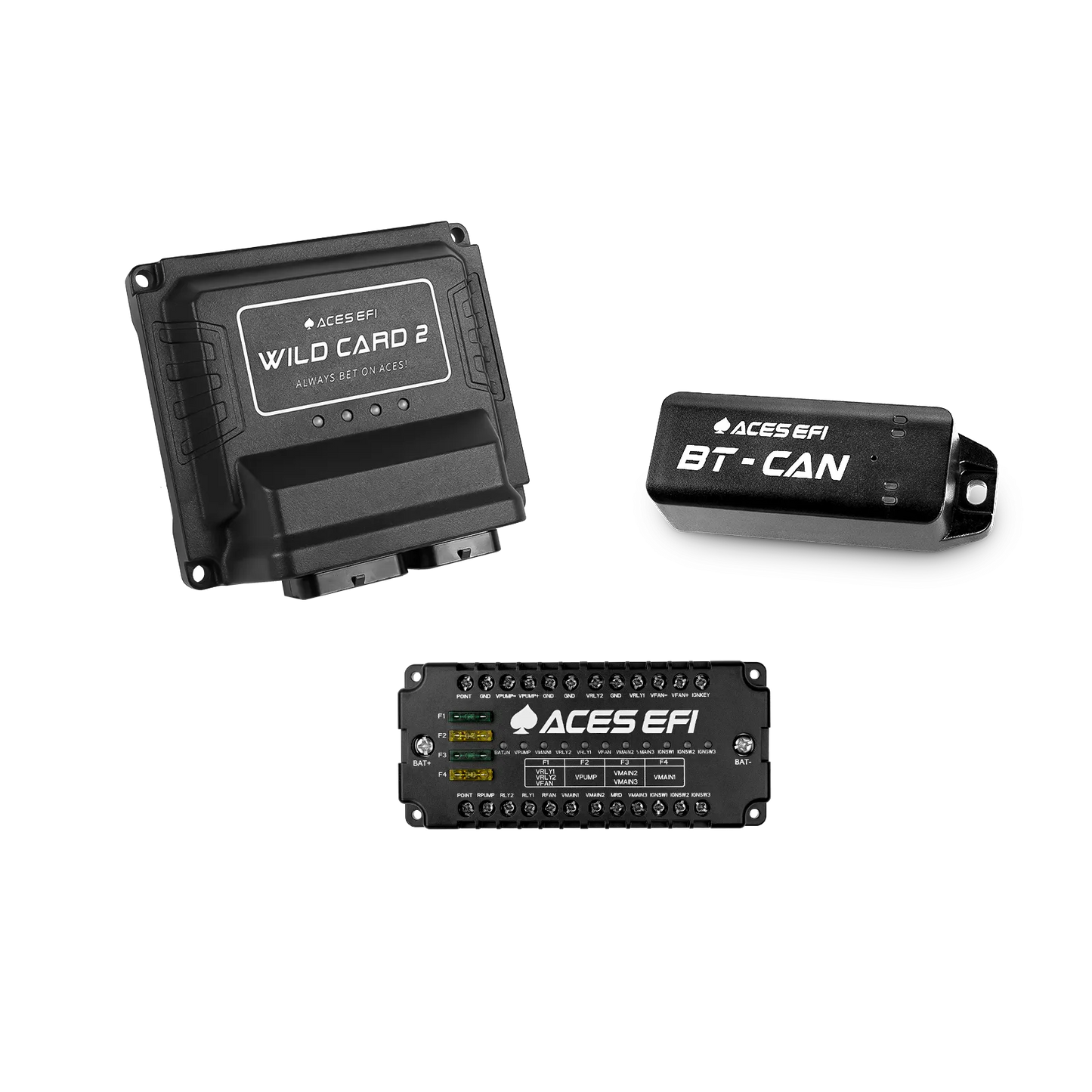 Wild Card 2 ECU/Ignition Package - Small Block Ford 260-302