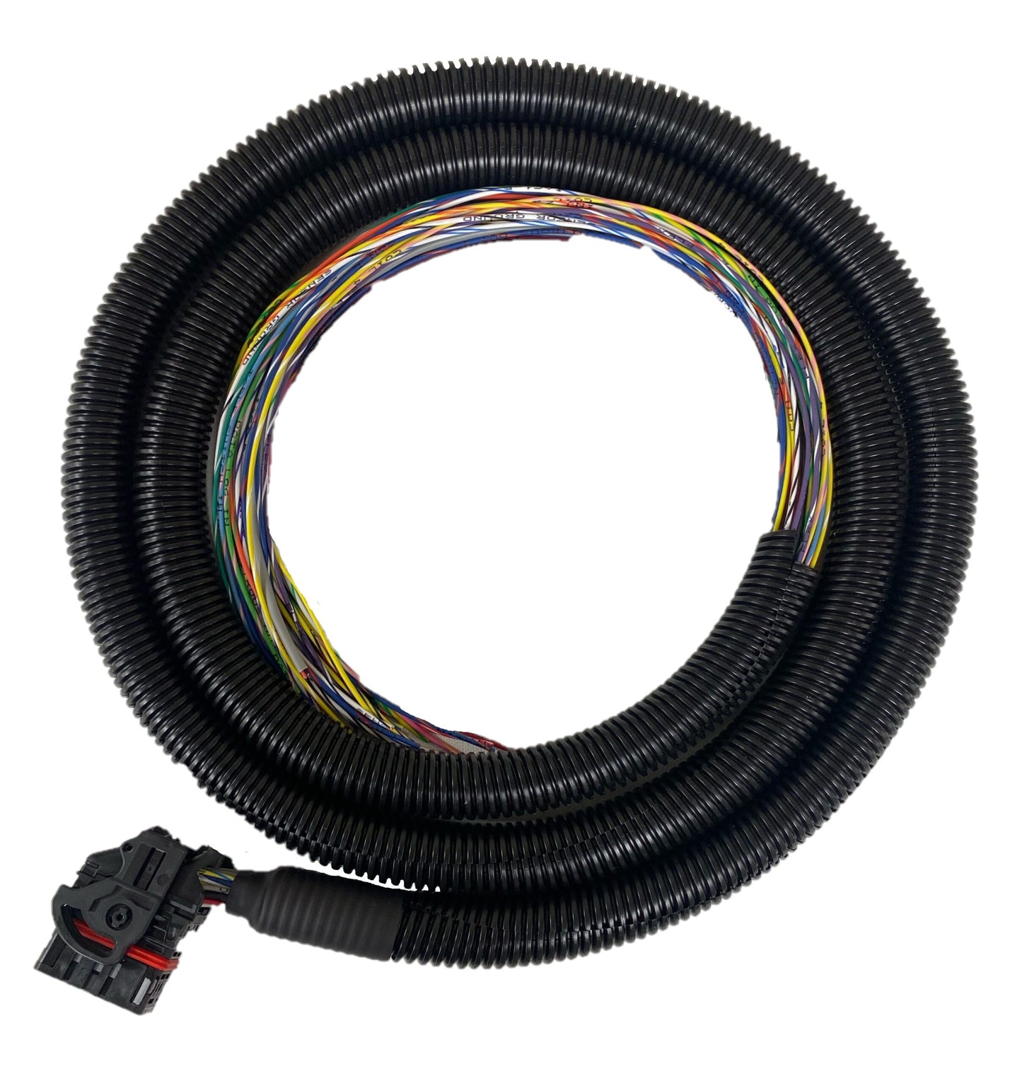 MS3 Gold Lite with 8ft Harness