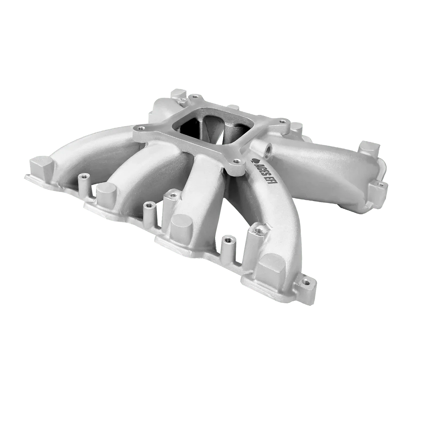 Jackpot 2 LS EFI TBI System - Top End Kits